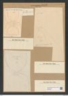 Chaetoceros diversus Cleve (de-Toni-Nr.: Genus 149, Species 4110) Zeichnungen Sammlung Grunow Nr. 7653 (NHMW-BOT-W0376838)